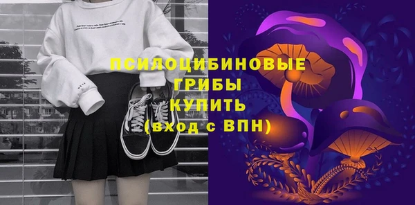 ПСИЛОЦИБИНОВЫЕ ГРИБЫ Алексеевка