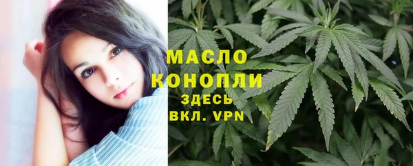 соль ск Пересвет